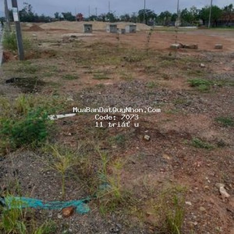 đất sổ đỏ 250m2 (5x25) phường nhơn hưng, an nhơn