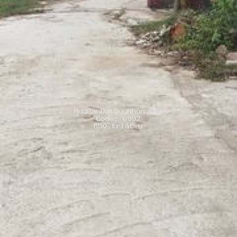 đất thành phố qui nhơn 205m² giá 650 triệu