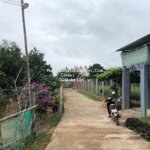 đất thị xã an nhơn 92m² sân bay phù cát