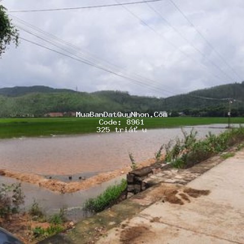 đất tuy phước, bình định giá rẻ chính chủ