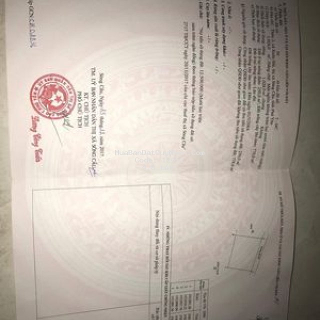 đất ven biển