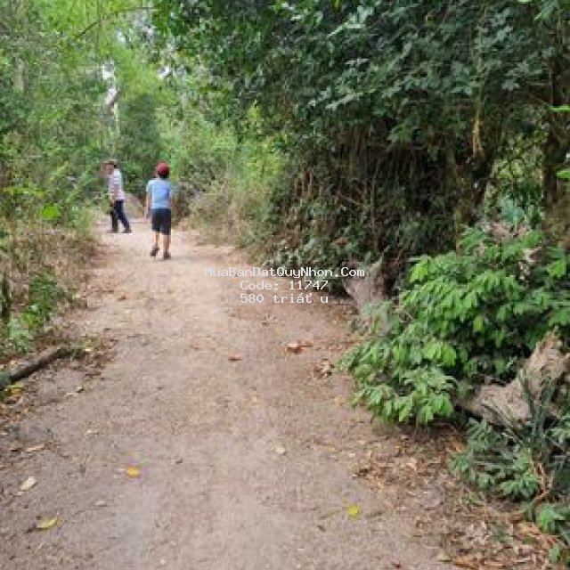 đất xã mỹ tài , 200m thổ cư