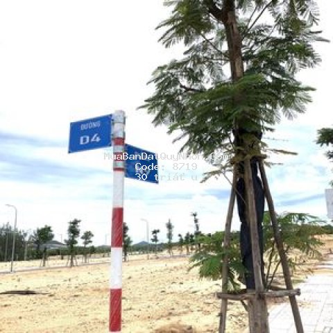 Dự án căn hộ nghỉ dưỡng cao cấp takashi