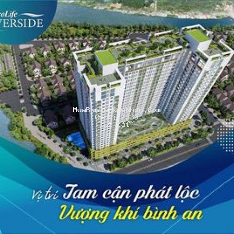 Ecolife riverside: đăng ký mua ngay để nhận ưu đãi