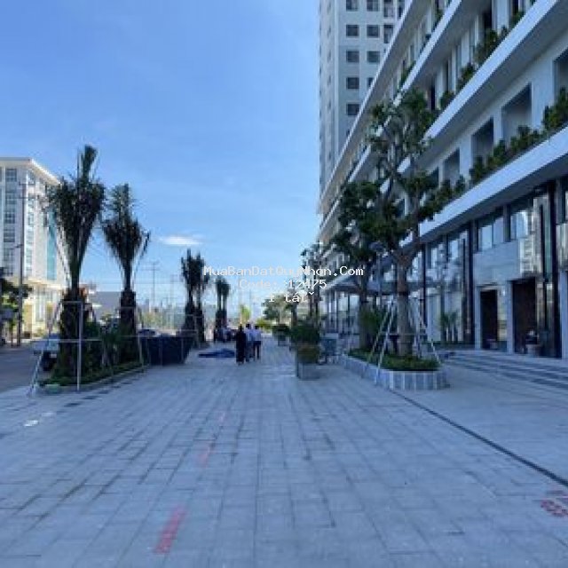 Ecolife riverside giá rẻ