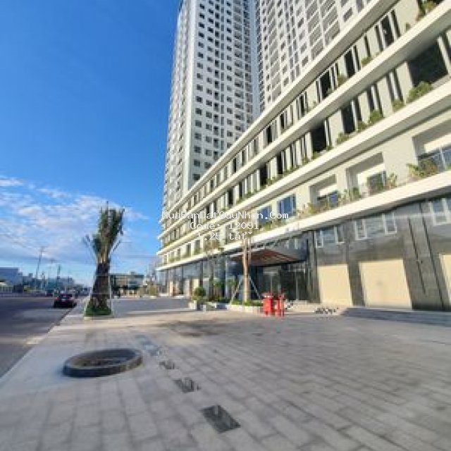 Ecolife riverside quy nhơn - giá gốc cdt