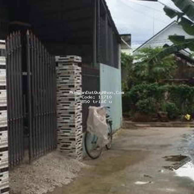 Giá công khai nhà nguyên căn: 