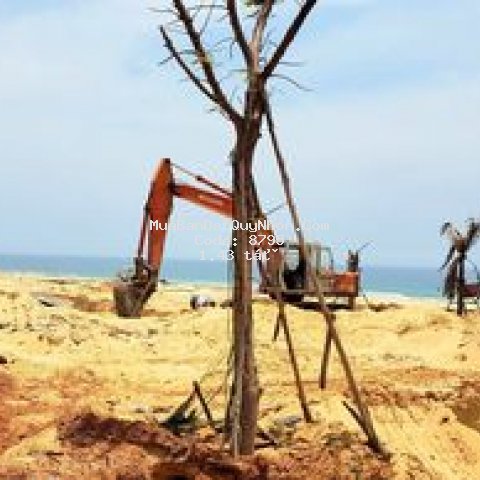Giá ưu đãi hổ trợ mùa dịch,đất ển nhơn hội 1ty4x