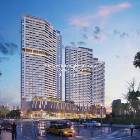 Itower- tổ ẩm hoàn mỹ bậc nhất miền trung