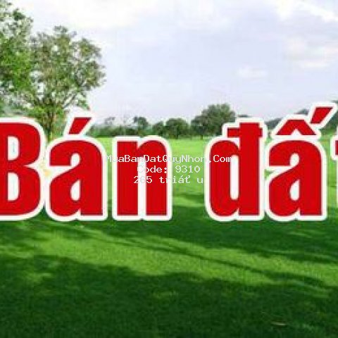 Kẹt tiền, bán gấp. đất đẹp, 3 mặt tiền