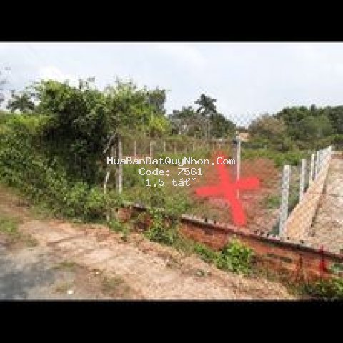 Kẹt tiền bán gấp lô đất trả nợ ngân hàng sau tết