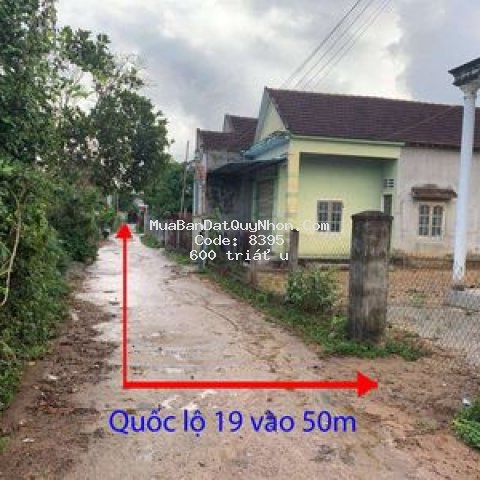 Lô đất dành cho nhà đầu tư 200m2 70 thổ cư