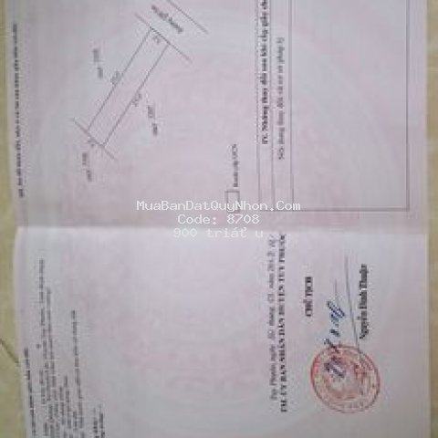 Mảnh đất nằm trong khu tiềm năng phát triển .