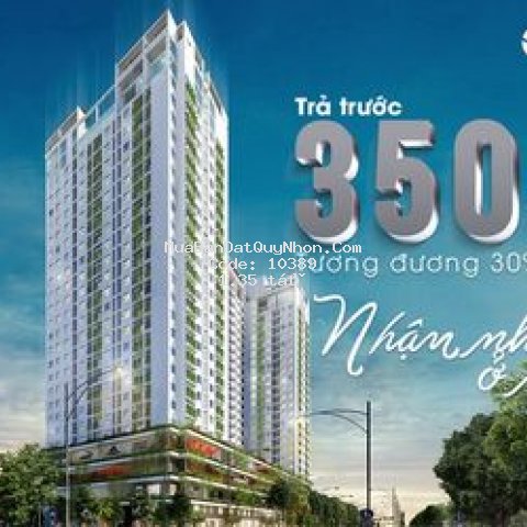 Miễn phí 2 năm đầu tư tại căn hộ ecolife quy nhơn.