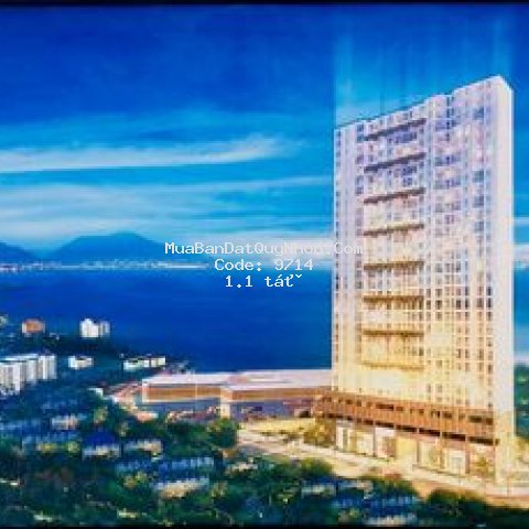 Mở bán căn hộ chung cư calla apartment quy nhơn