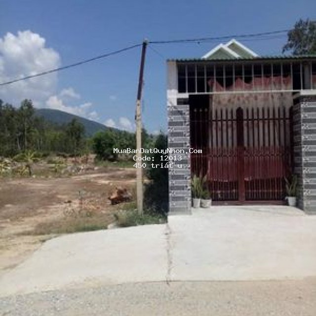 Mỹ bình 3 cách đường nhựa 50m