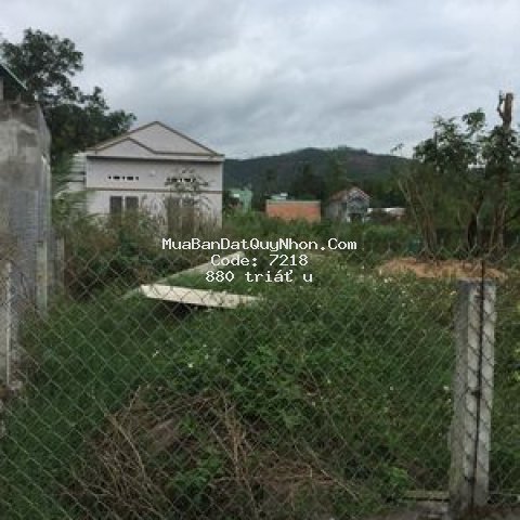 Nhà cấp 4 và đất 300m2 xã phước mỹ quy nhơn