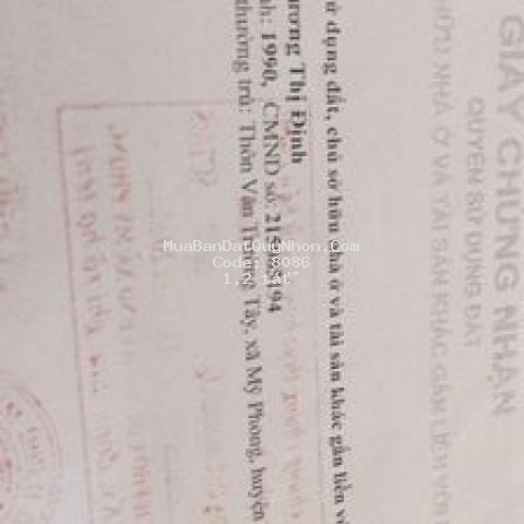 Nhà mat tien quốc lộ buôn bán nha dài 20m . mới xâ