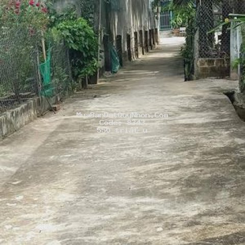 Nhà trung tâm thị trấn, đường bê tông đi lại