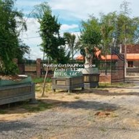 Nhà vườn 5000m2 cát tân, phù cát giá rẻ