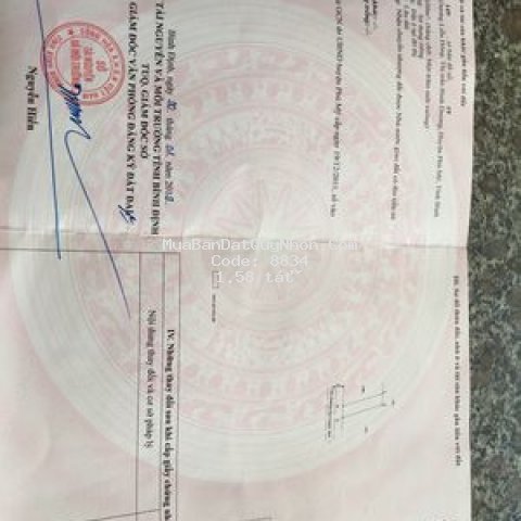 Nhu cầu kinh tế cần bán hai lô đất liền kề