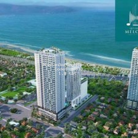 Quỹ căn hộ quy nhơn melody view biển chỉ 1.6 tỷ