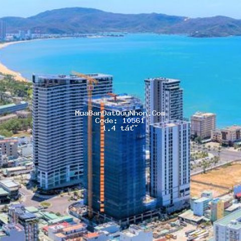 Quy nhơn melody chiết khấu 23%