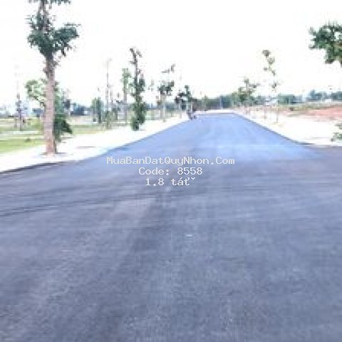 Ra mắt tuyến phố đêm kdt sunshine central park
