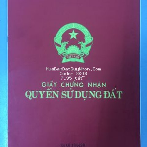 Sổ hồng chính chủ 424m