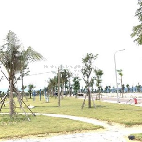 Sở hữu ngay căn hộ trong khu đô thị nhật bản.