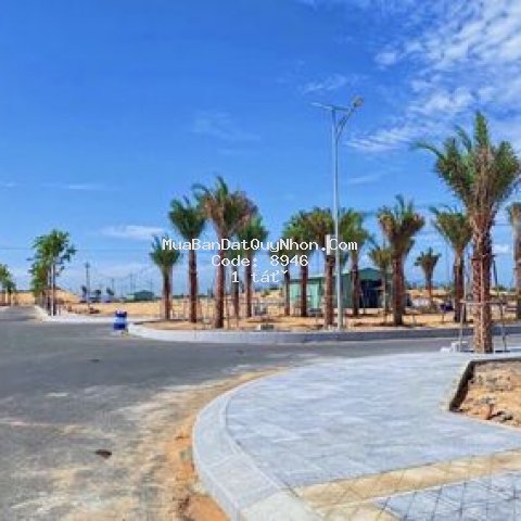Takashi, căn hộ view biển quy nhơn, 300tr sở hữu