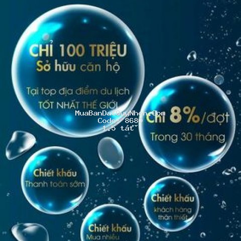 Takashi ocean suite dự án đẳng cấp chỉ 1,5 tỷ