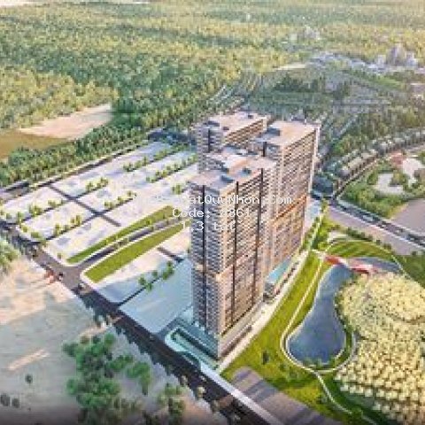 Takashi ocean suite kỳ co