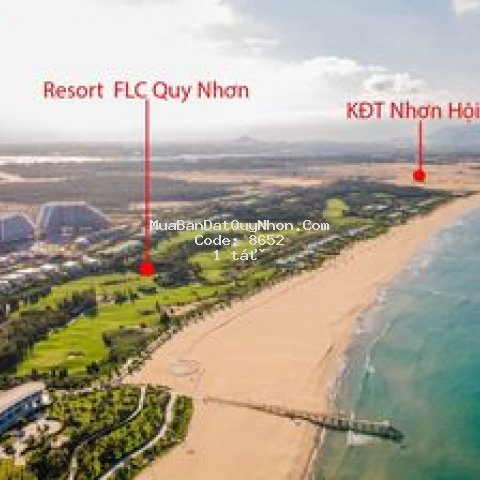 Takashi ocean suite kỳ co giá chỉ 1 tỷ