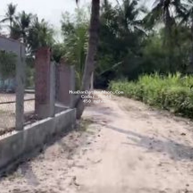2400m2 đất ở mỹ tài