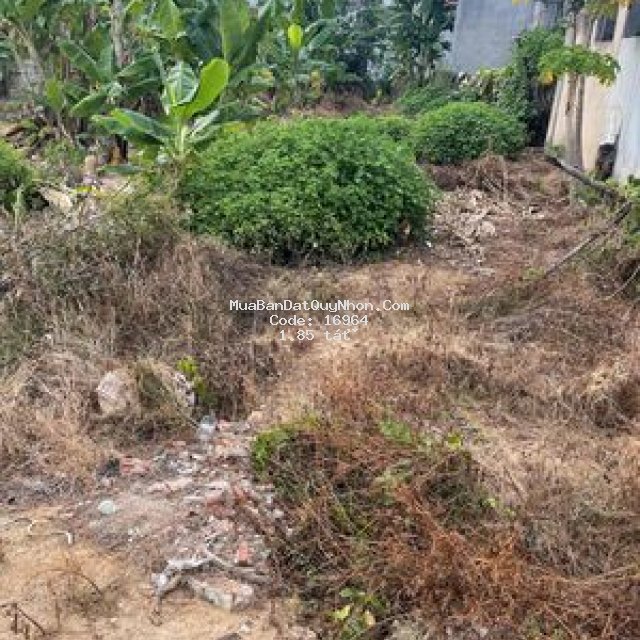 Bán 2 lô liền kề thị trấn diêu trì huyện tuy phước