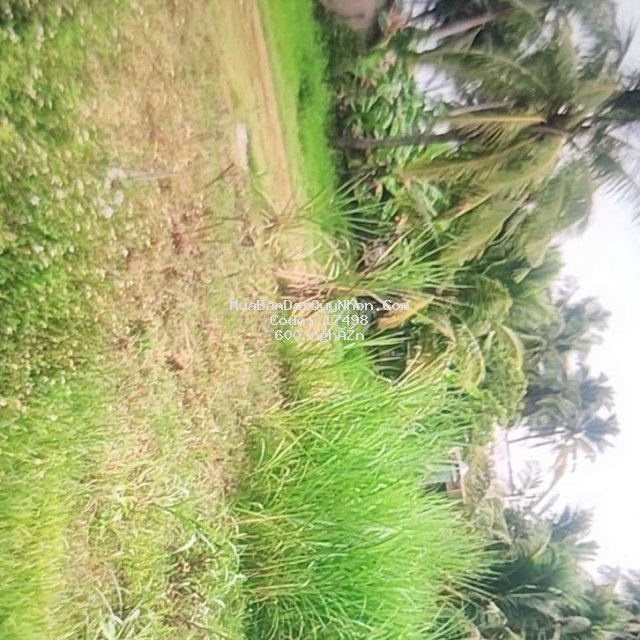 Bán đất. 600tr
