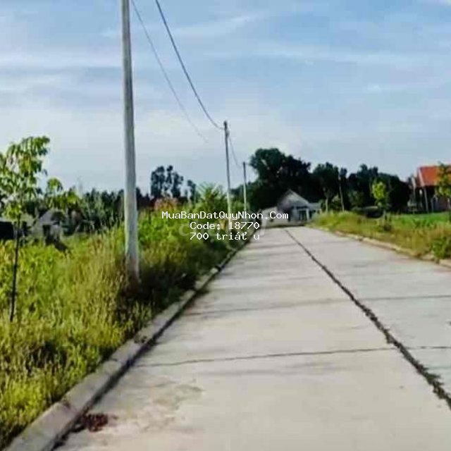 Bán đất an nhơn đón đầu thành phố