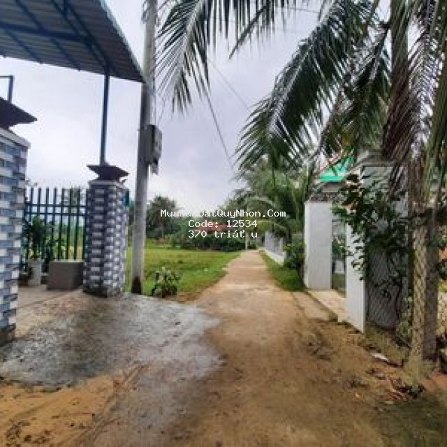Bán đất cát minh, phù cát , bình định.