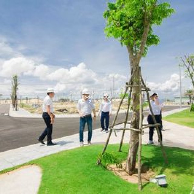 Bán đất lô dự án + đầu tư