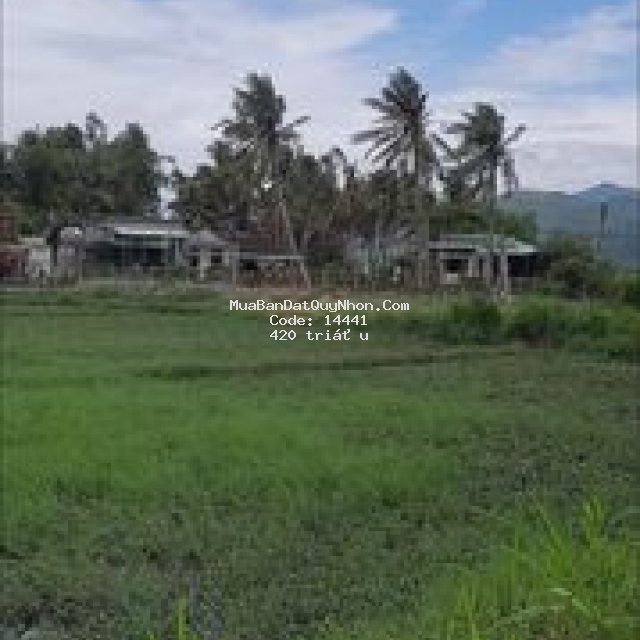 Bán đất mỹ chánh,phù mỹ, bình định