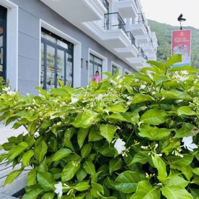 Bán đất nền, nhà phố thành phố quy nhơn, gần biển