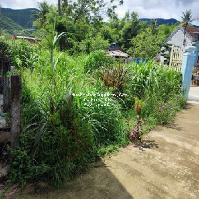 Bán đất ở nông thôn