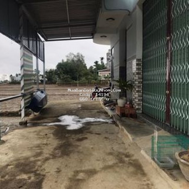 Bán đất phước nghĩa tuy phước, 93m2 n 8,1m