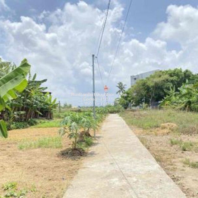 Bán đất phước nghĩa. tuy phước giá rẻ