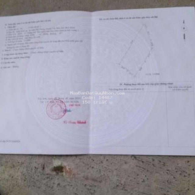 Bán đất rừng sx . khu vực thị trấn phú phong