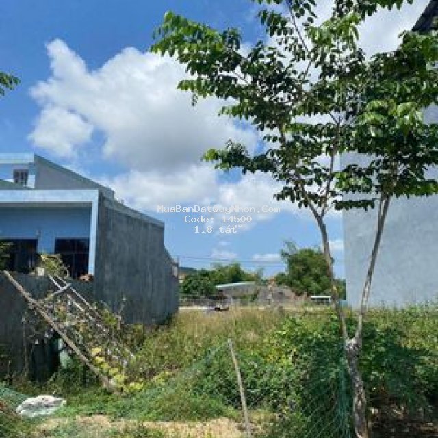 Bán đất tđc đại học quang trung nhơn phú quy nhơn