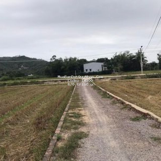 Bán đất thôn huỳnh mai phước nghĩa tuy phước, 85m2