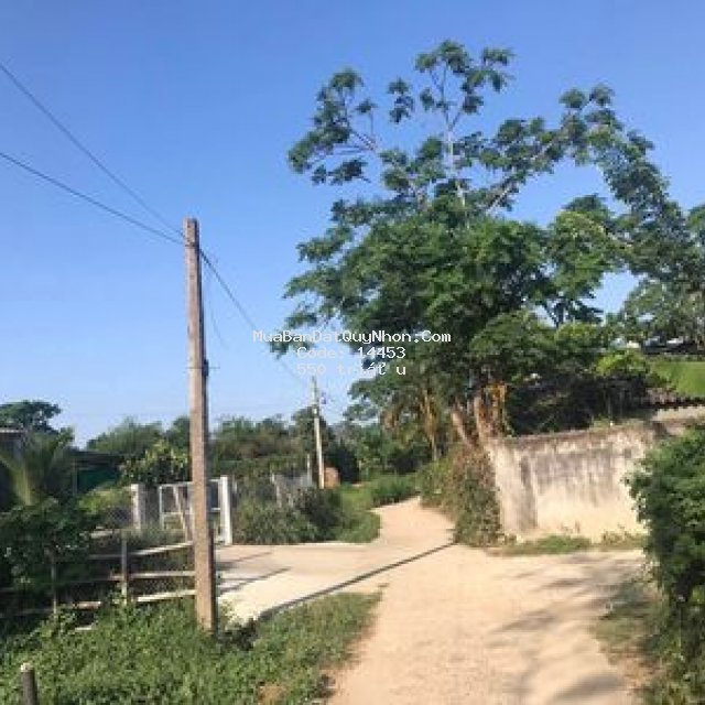 Bán đất thôn luật chánh phước hiệp tuy phước