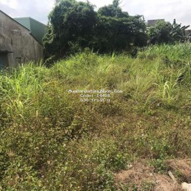 Bán đất thôn thanh huy phước an tuy phước, 630tr